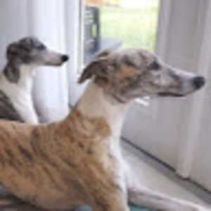 Meet your Posher, Larry & melissa